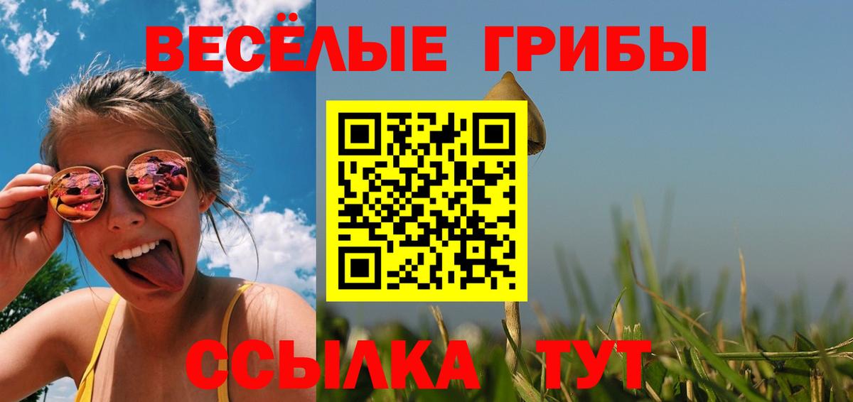Геленджик  Галлюциногенные грибы Psilocybine cubensis  Вход с VPN 